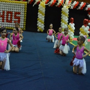 FESTIVAL DE GINÁSTICA 2017