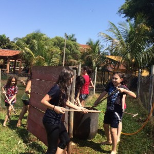 FAZENDO FAZENDA 2017