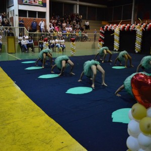 FESTIVAL DE GINÁSTICA 2017