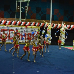 FESTIVAL DE GINÁSTICA 2017