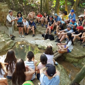 VIAGEM DE ESTUDO AO SÍTIO DO CARROÇÃO