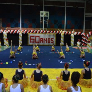 FESTIVAL DE GINÁSTICA 2017