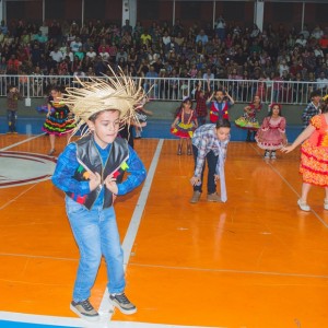 FESTA JUNINA - É O ARRAIÁ DO SANTÃO 2024