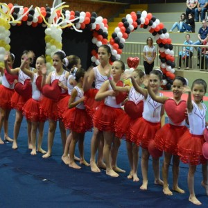 FESTIVAL DE GINÁSTICA 2017