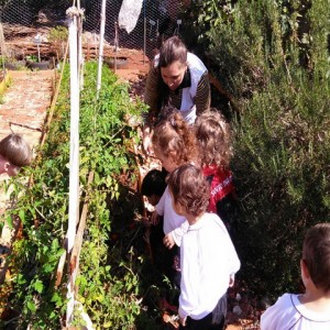 VISITA AO LABORATÓRIO: EXPLORANDO BICHINHOS DE JARDIM