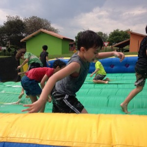 FAZENDO FAZENDA 2017