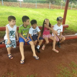 FAZENDO FAZENDA 2º ANO -  2018