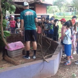 FAZENDO FAZENDA 2º ANO -  2018