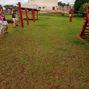 FAZENDO FAZENDA 2º ANO -  2018