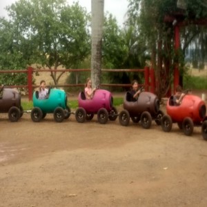 FAZENDO FAZENDA 2017