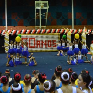 FESTIVAL DE GINÁSTICA 2017