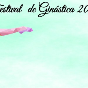 FESTIVAL DE GINÁSTICA 2017