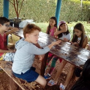 FAZENDO FAZENDA 2º ANO -  2018