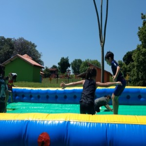 FAZENDO FAZENDA 2017