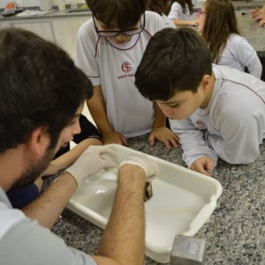 AULA NO LABORATÓRIO SOBRE ANIMAIS VERTEBRADOS E INVERTEBRADOS