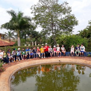 FAZENDO FAZENDA 1º ANO -  2018