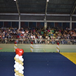 FESTIVAL DE GINÁSTICA 2017