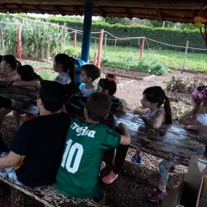 FAZENDO FAZENDA 2º ANO -  2018