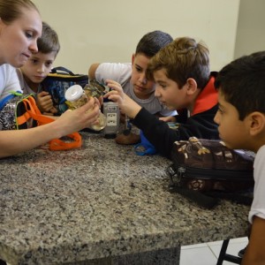 AULA NO LABORATÓRIO SOBRE ANIMAIS VERTEBRADOS E INVERTEBRADOS