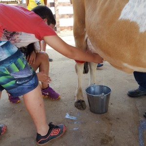 VIAGEM DE ESTUDO AO SÍTIO DO CARROÇÃO