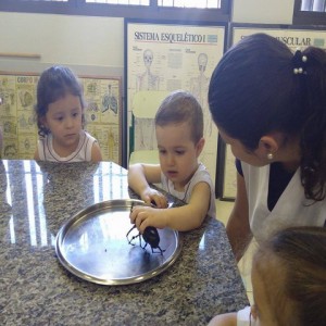 VISITA AO LABORATÓRIO: EXPLORANDO BICHINHOS DE JARDIM