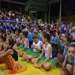 FESTIVAL DE GINÁSTICA 2017