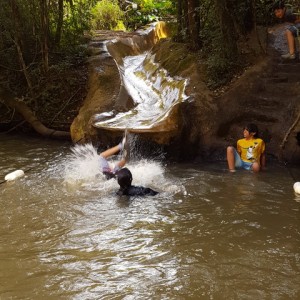 VIAGEM DE ESTUDO AO SÍTIO DO CARROÇÃO