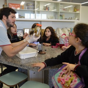 AULA NO LABORATÓRIO SOBRE ANIMAIS VERTEBRADOS E INVERTEBRADOS