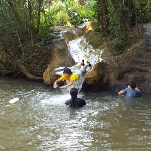 VIAGEM DE ESTUDO AO SÍTIO DO CARROÇÃO