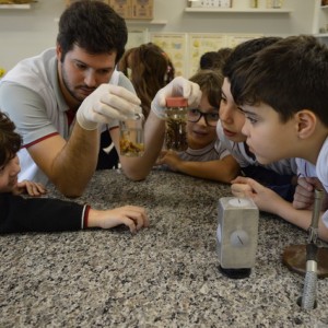 AULA NO LABORATÓRIO SOBRE ANIMAIS VERTEBRADOS E INVERTEBRADOS