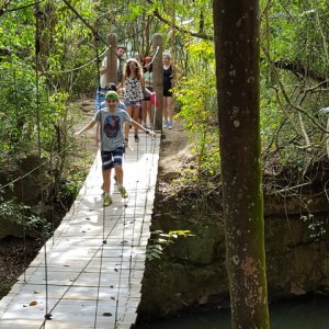 VIAGEM DE ESTUDO AO SÍTIO DO CARROÇÃO