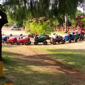 FAZENDO FAZENDA 1º ANO -  2018