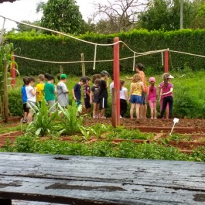 FAZENDO FAZENDA 1º ANO -  2018