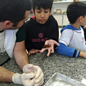 VISITA AO LABORATÓRIO DE CIÊNCIAS