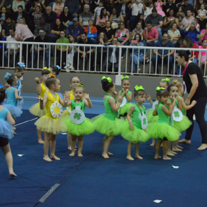 13° Festival de Ginástica Geral - Colégio Santo Inácio