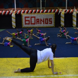 FESTIVAL DE GINÁSTICA 2017