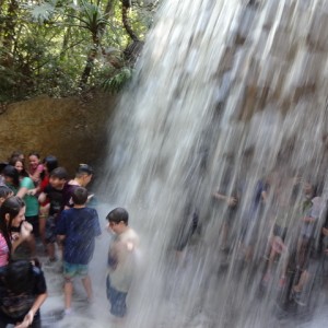 VIAGEM DE ESTUDO AO SÍTIO DO CARROÇÃO