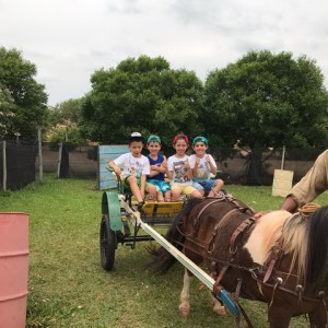 FAZENDO FAZENDA 2017