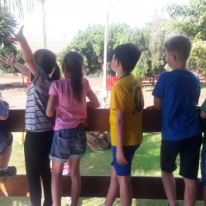 FAZENDO FAZENDA 3º ANO -  2018