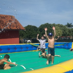 FAZENDO FAZENDA 3º ANO -  2018