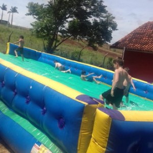 FAZENDO FAZENDA 2º ANO -  2018