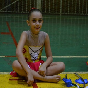 FESTIVAL DE GINÁSTICA 2017