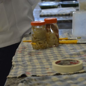 AULA NO LABORATÓRIO SOBRE ANIMAIS VERTEBRADOS E INVERTEBRADOS