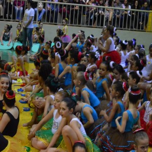 FESTIVAL DE GINÁSTICA 2017