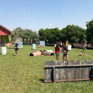 FAZENDO FAZENDA 2017