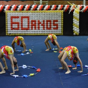 FESTIVAL DE GINÁSTICA 2017