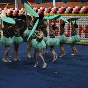 FESTIVAL DE GINÁSTICA 2017