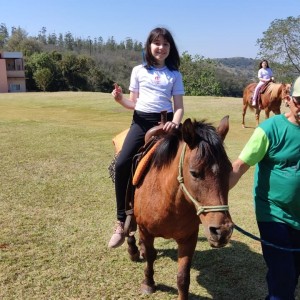 VIAGEM AO JABUTI - 2024