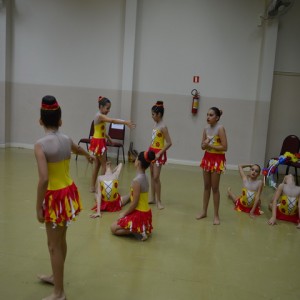 FESTIVAL DE GINÁSTICA 2017