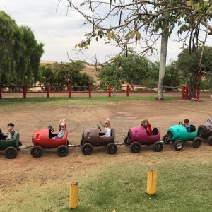 FAZENDO FAZENDA 2017